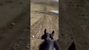 Абдуллах Борлаков-турчу тенгим. Переход 2021