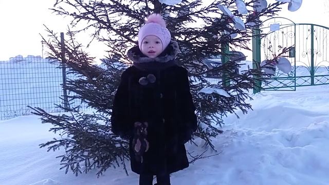 Гатауллина Амина. Роберт Миннуллин "Ак кыш"
