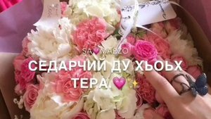 1уьйре йита реза ю суьйре йита реза ю