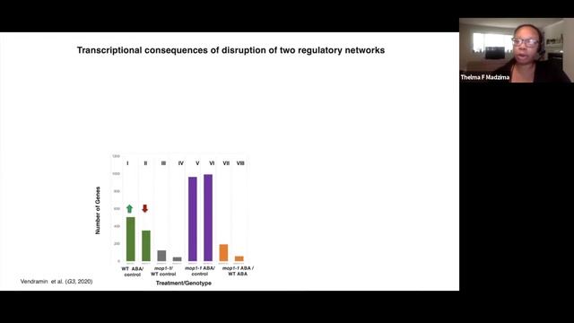 Thelma Madzima: Epigenetic & abiotic stress mediated transcriptional regulation in Zea mays (maize) смотреть онлайн