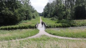 1543764-hd_1920_1080_25fps