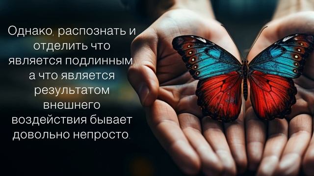 Душа и тело: Раскрой свою истинную сущность. Елена Болотова - ORZUM Неопсихология