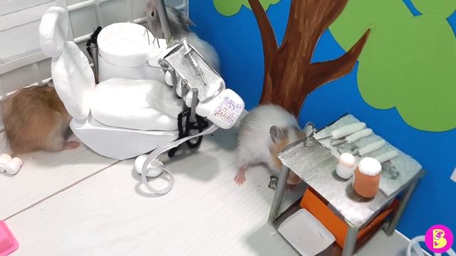ПЕРЕПОЛОХ в ЗУБНОМ КАБИНЕТЕ** ЗАЧЕМ ОСТАВИЛИ ОДНИХ?**НОВАЯ СЕРИЯ ПРО ХОМЯЧКОВ