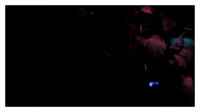 Genome modification of plants and fungi | Plant & Environmental Biotec Lab (University of Thessaly) смотреть онлайн