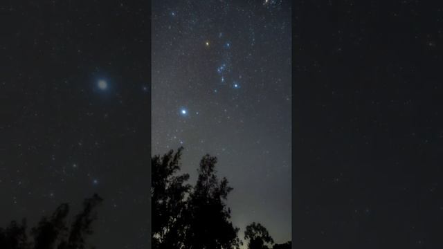 Orion and Sirius @Travis Shek