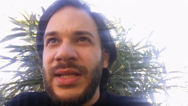 Отзывы участников после прохождения курса ОК 21/ Онлайн клуб школы Гивина смотреть онлайн