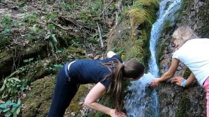 4196611-hd_1920_1080_30fps