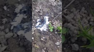 горение перхлората калия