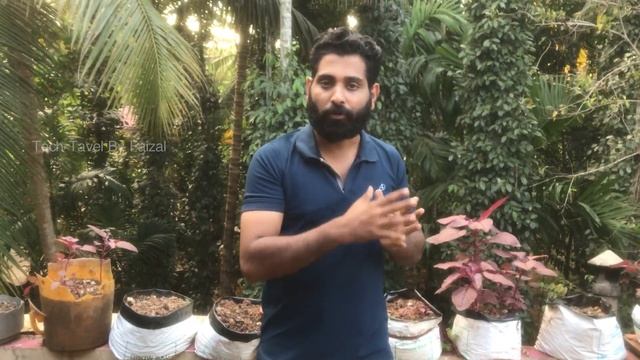 Goa 5 Days Trip Plan Malayalam | How to plan goa 5 Days trip malayalam | Goa trip Itinerary |Goa202