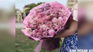 Увайс Шарипов ХАЗ ЭШАР😍Йог1уш Йоьдуш Хьо Цагайчи😍