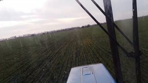 Озимая пшеница. Внесение азотных удобрений сеялкой.