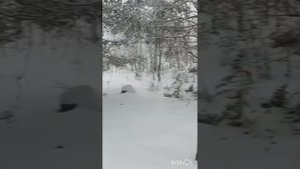 Зима пришла на Азау