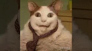 надо надо