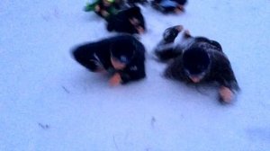 Команда Регби в Липецкой области (360p) (1)