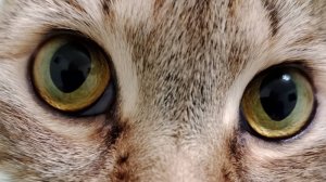 ВАЛЕРА САМЫЙ КРУТОЙ