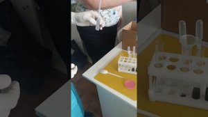 свойства оксидов. урок химии 8 класс. лабораторная работа.
