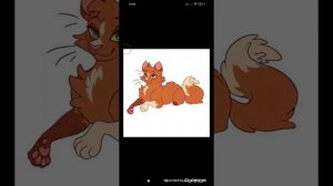 Коты Воители-История Белки