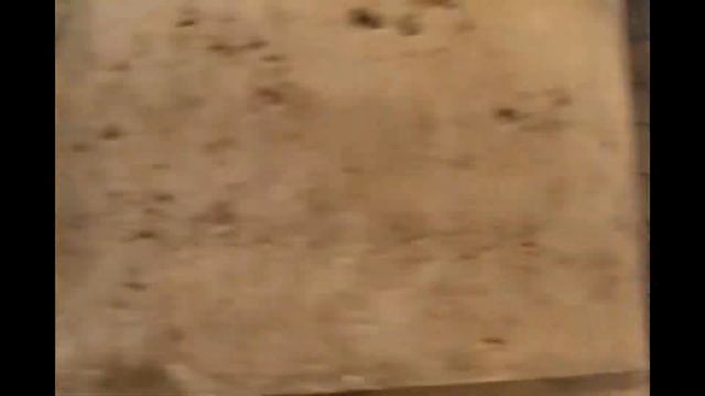 Notre Dame смотреть онлайн