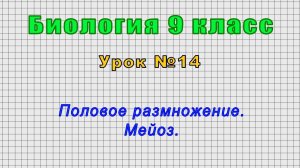 Биология 9 класс (Урок№14 - Половое размножение. Мейоз.)