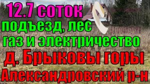 Продаётся  участок 12.7 соток в деревне Брыковы горы, Александровский район, Владимирская область