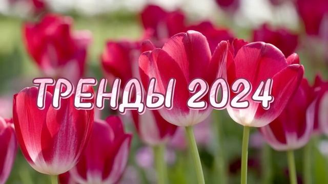 🌷Танцуй если знаешь этот тренд 2024 года🌷 смотреть онлайн