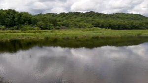 Прозрачная вода Утёсного озера