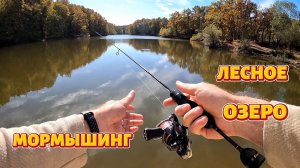 Мормышинг. Прогулка по лесному озеру.