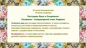 Лунный календарь комнатных растений и цветов на июль 2024 года