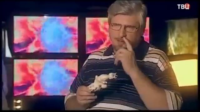 Профессор Савельев "Эволюция пошутила" смотреть онлайн