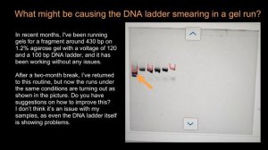 What might be causing the DNA ladder smearing in a gel run?