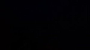 А вы слыхали, как поют шакалы?🐺