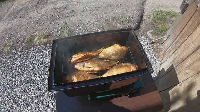 КОПТИМ небольшого КАРПА и КАРАСЕЙ смотреть онлайн