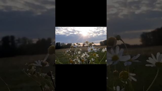 Ты родная мне, моя Мать-земля❤️