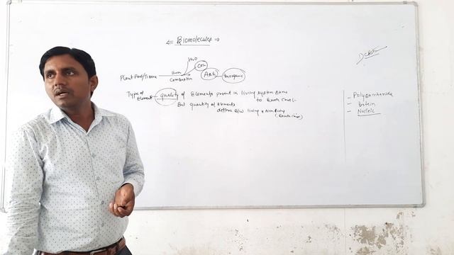 biomolecules , elemental analysis , Amino acids basic concepts