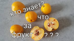 Кто знает? Что это? Нашла на пустыре. Как называется?