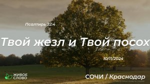 10.11.2024 | Твой жезл и Твой посох - Псалтирь 22:4 | Церковь "Живое Слово"