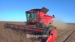 Уборка сои КФК Амурская Case 6150