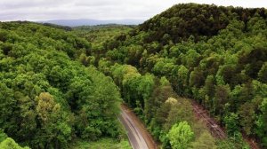 4249212-uhd_3840_2160_24fps