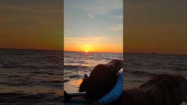 20 марта 2024 г. смотреть онлайн