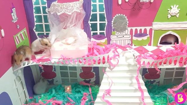 ТО ЧУВСТВО**КОГДА ТЫ МАМА ХОМЯЧОК** БУМАЖНОЕ ПАТИ смотреть онлайн