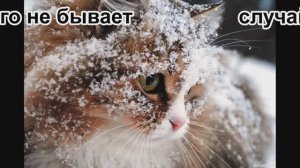 Случай на дороге