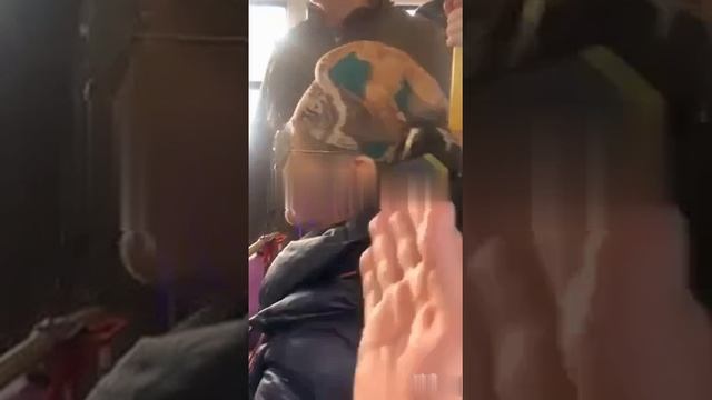 В одесском автобусе пожилая женщина высказала свои политические взгляды и стала жертвой агрессии.