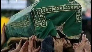 Чи ,🌹дил❤️ банди 🌁🏙️ дар ин дунё🌹🌹