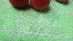 Абрикос Бетинка