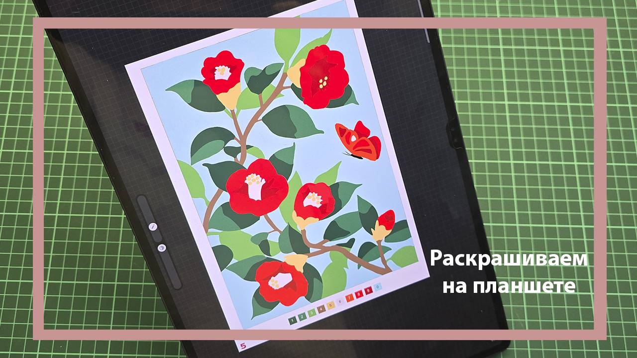 Раскрашиваем раскраску по номерам на планшете Samsung