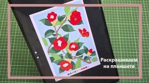 Раскрашиваем раскраску по номерам на планшете Samsung