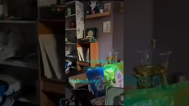 Чайный клуб Cactusstone.
