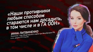 "Наши противники любым способом стараются нам досадить, в том числе и в ГА ООН" - Инна Литвиненко