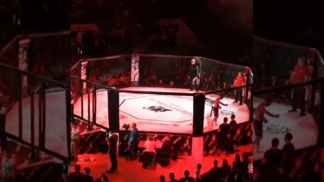 Мурад Бакиев ММА Узбекистон смотреть онлайн