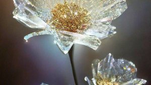 Жизненные истории - Ночь, когда рухнул её мир...